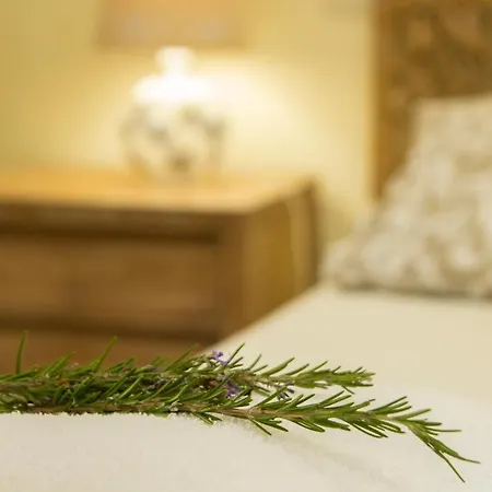 Casa De Romao Feriehus Amares