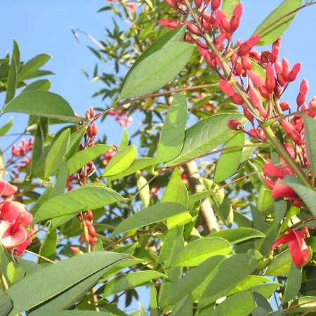 Casa De Romao * Amares