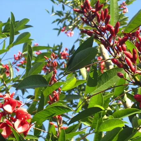 Vakantiehuis Casa De Romao