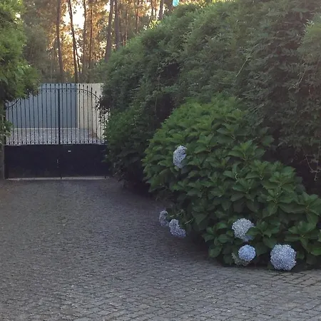 Casa De Romao