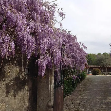 Casa De Romao Feriehus Amares