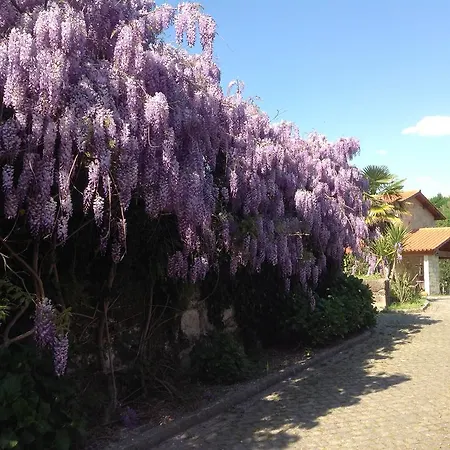 Vakantiehuis Casa De Romao *