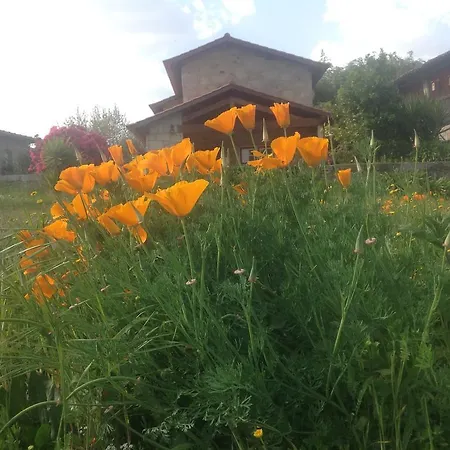 Casa De Romao Vakantiehuis