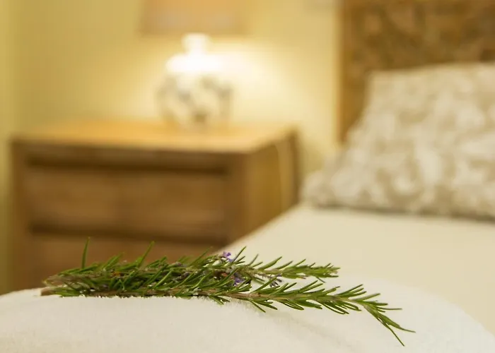 Casa De Romao 펜션 아마레스