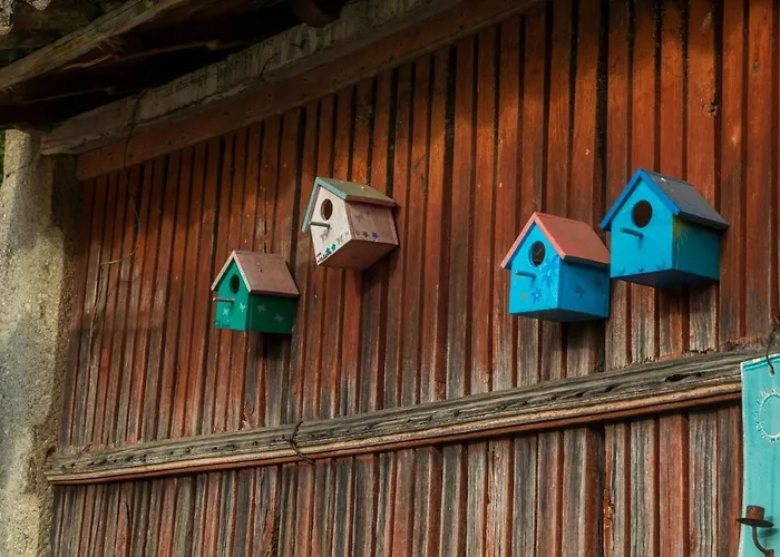 Casa De Romao Nyaraló