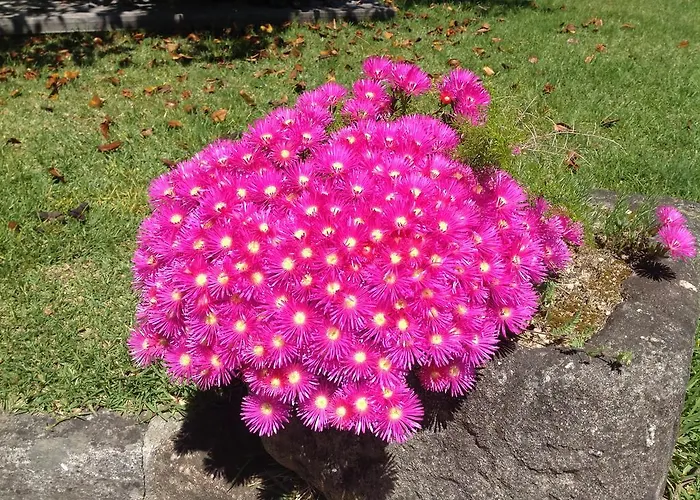 Nyaraló Casa De Romao *