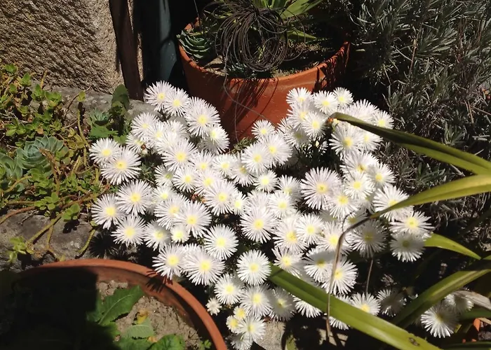 Nyaraló Casa De Romao
