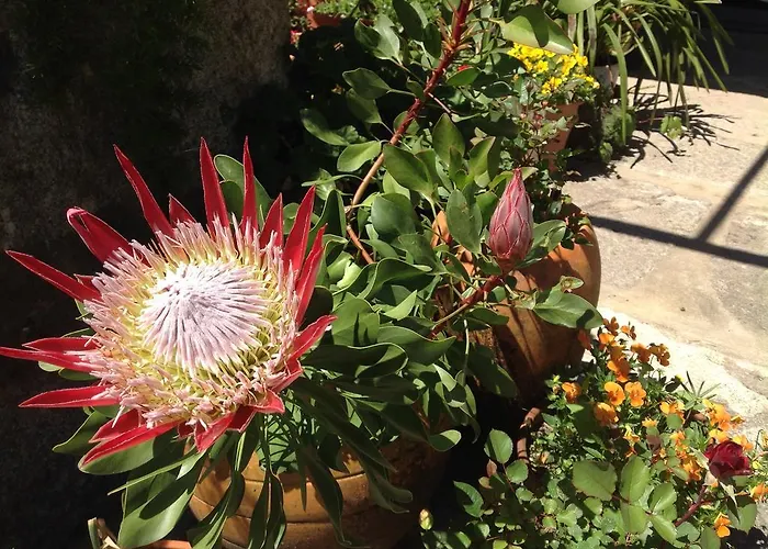 Casa De Romao Amares