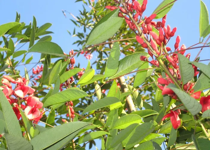 Casa De Romao * Amares