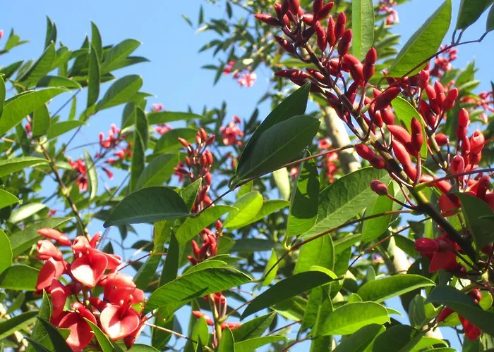 펜션 Casa De Romao