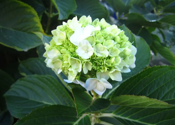 Nyaraló Casa De Romao *