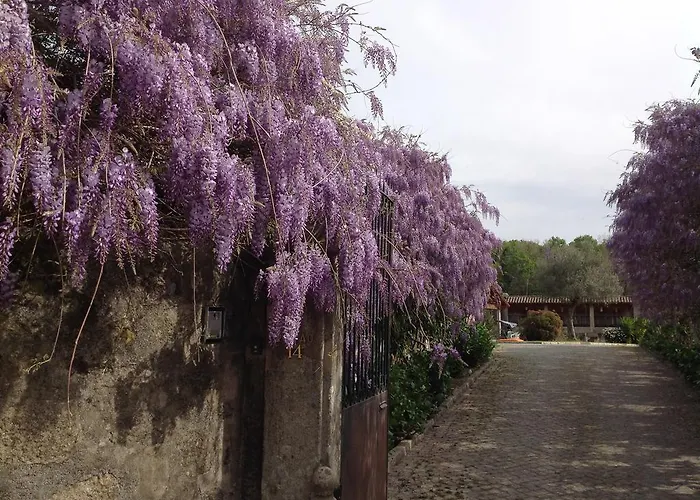 Casa De Romao Nyaraló Amares