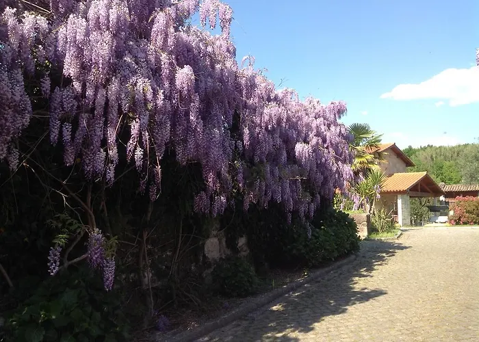 펜션 Casa De Romao *