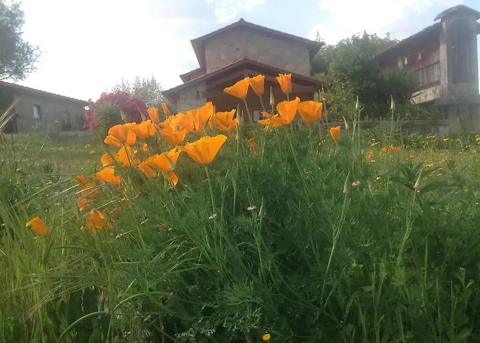 Casa De Romao Nyaraló