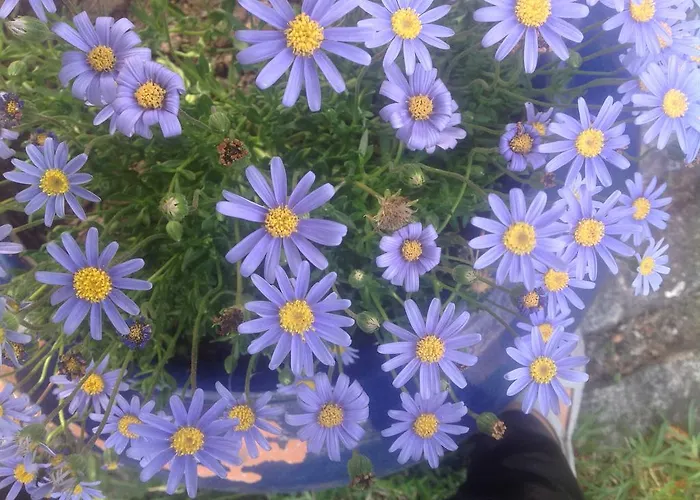 Nyaraló Casa De Romao